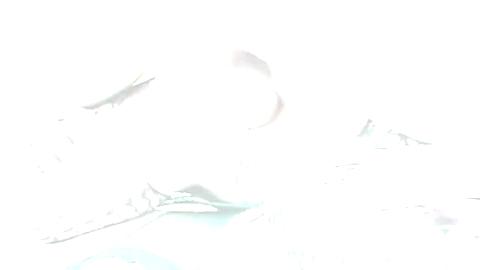 498
